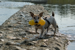 DSC_1204c.jpg