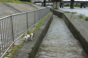 DSC_1245c.jpg