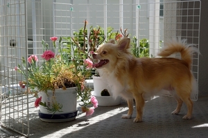 DSC_1330c.jpg