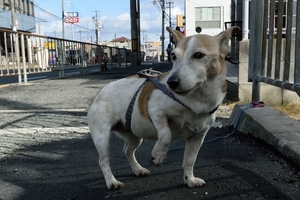 DSC_1378c.jpg