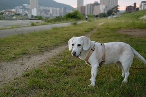 DSC_1446c.jpg