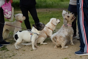 DSC_1449c.jpg