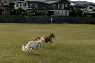 DSC_1459c.jpg