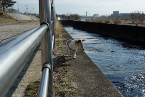 DSC_1515c.jpg
