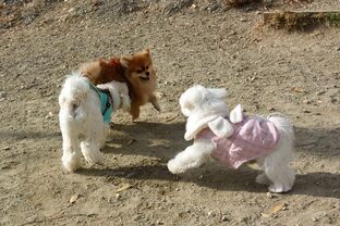 DSC_1576c.jpg