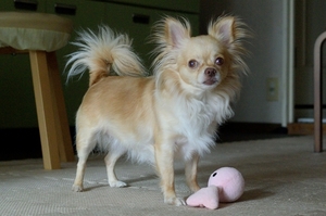 DSC_1774c.jpg