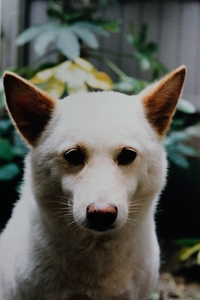 DSC_1778c.jpg