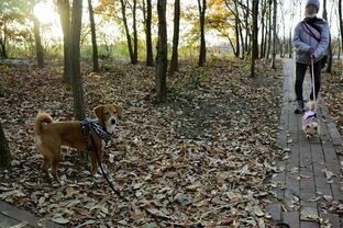 DSC_1819c.jpg