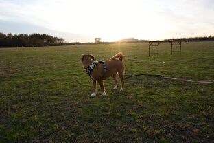 DSC_1834c.jpg