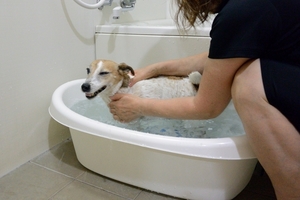 DSC_1905c.jpg