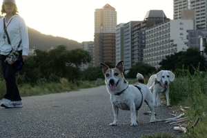 DSC_1913c.jpg
