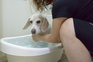 DSC_1914c.jpg