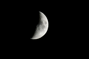 DSC_1945c.jpg