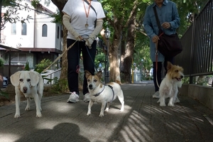 DSC_1955c.jpg
