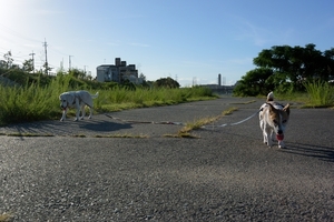 DSC_2015c.jpg