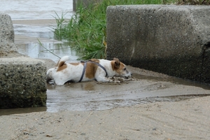 DSC_2044c.jpg