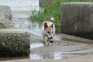 DSC_2045c.jpg