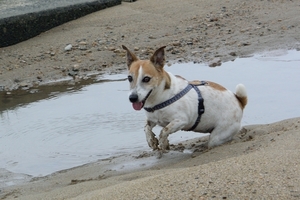 DSC_2051c.jpg
