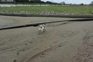 DSC_2054c.jpg