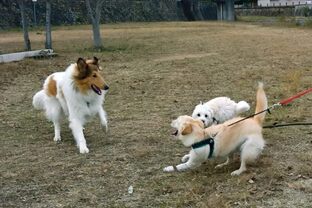 DSC_2090c.jpg