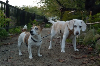 DSC_2106c.jpg