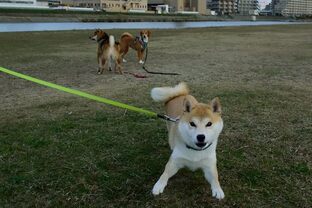 DSC_2127c.jpg