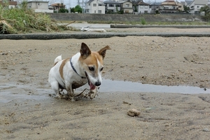 DSC_2127c.jpg
