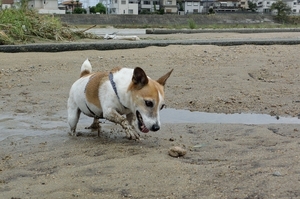 DSC_2128c.jpg