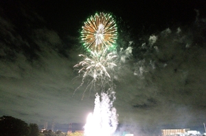 DSC_2130c.jpg