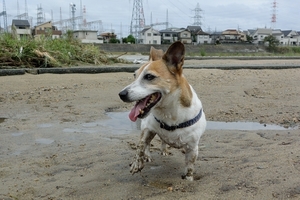 DSC_2134c.jpg