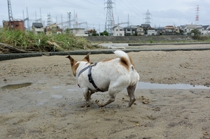 DSC_2138c.jpg