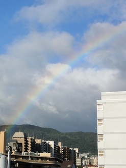 DSC_2138c.jpg