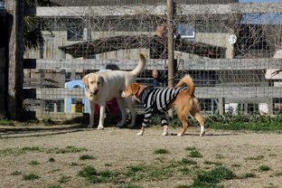 DSC_2143c.jpg