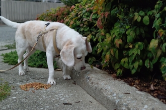 DSC_2145c.jpg