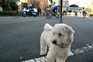 DSC_2157c.jpg