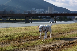 DSC_2233c.jpg