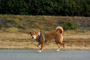 DSC_2294c.jpg