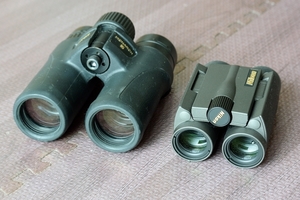 DSC_2308c.jpg