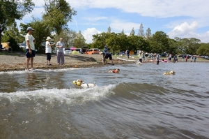 DSC_2371c.jpg