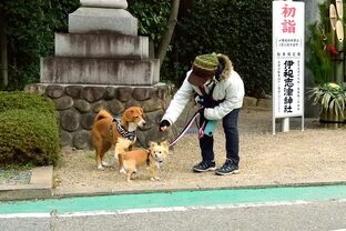 DSC_2373c.jpg