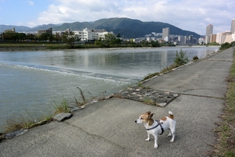 DSC_2373c.jpg