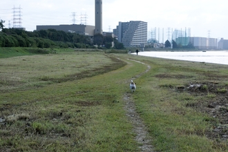 DSC_2384c.jpg