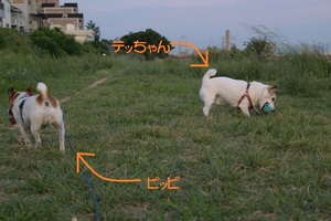 DSC_2398c.jpg