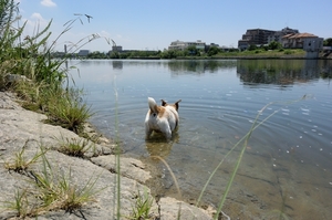 DSC_2412c.jpg
