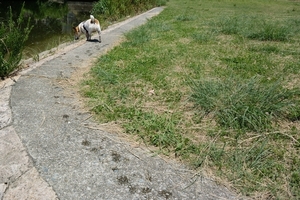 DSC_2420c.jpg