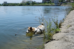 DSC_2434c.jpg