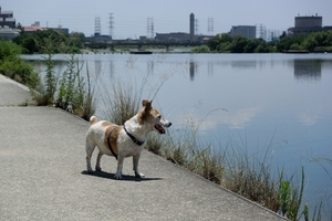 DSC_2443c.jpg