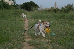 DSC_2474c.jpg