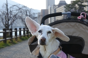 DSC_2476c.jpg