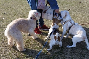 DSC_2506c.jpg